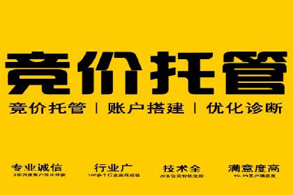 sem百度竞价广告投放策略的五大成功案例